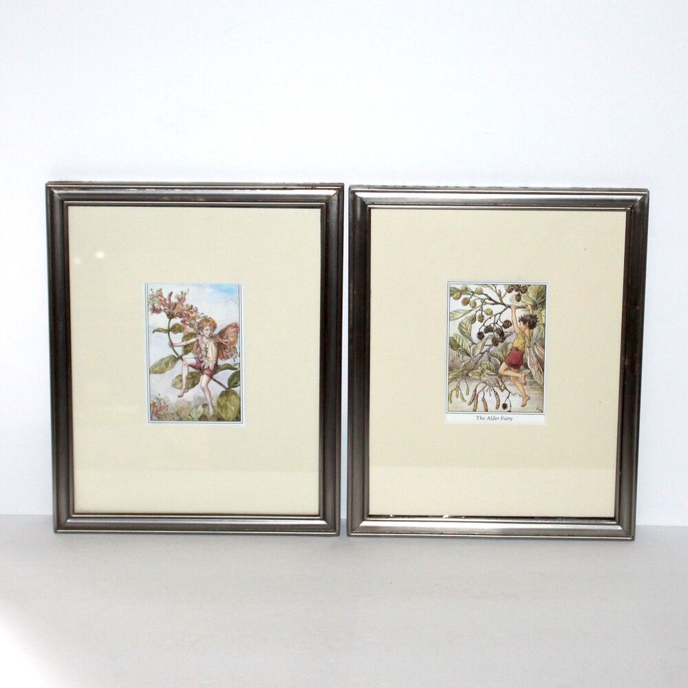 Vintage Cicely Mary Barker Flower Fairies 2 framed prints honeysuckle alder UK